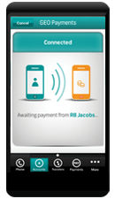 Perform payments and Geo Payments*